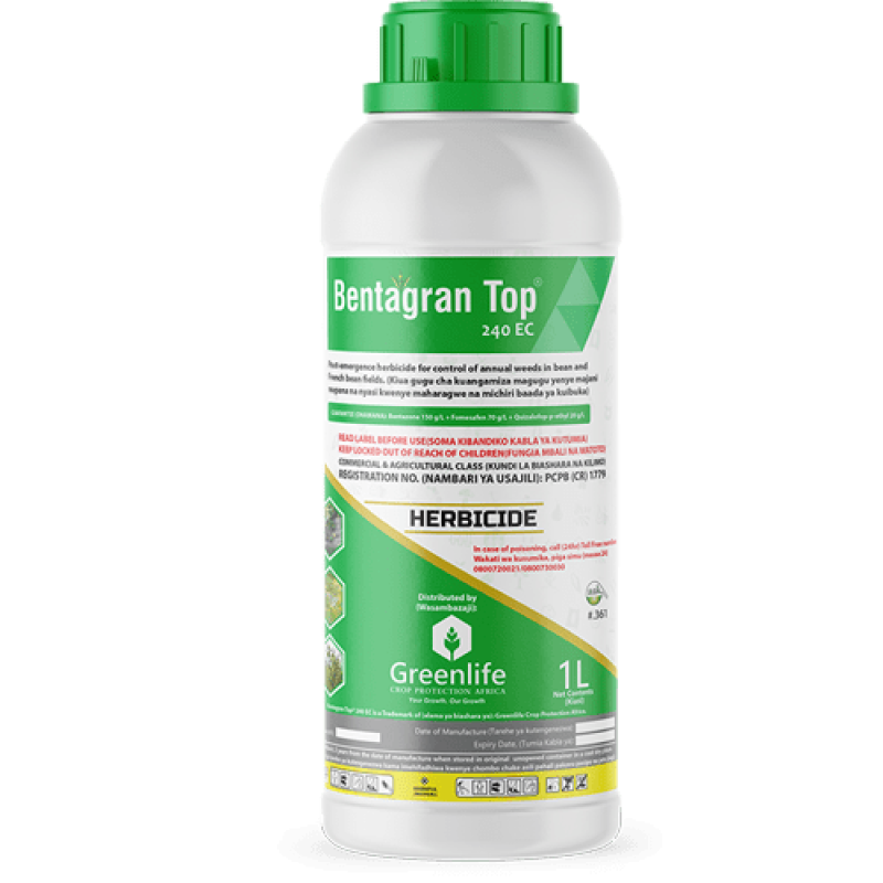 Bentagran Top 240EC