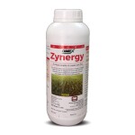 Zynergy