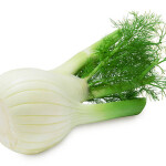 Fennel