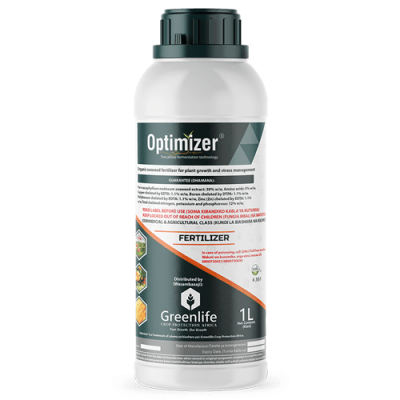 Optimizer