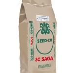 SC Saga Soya Bean