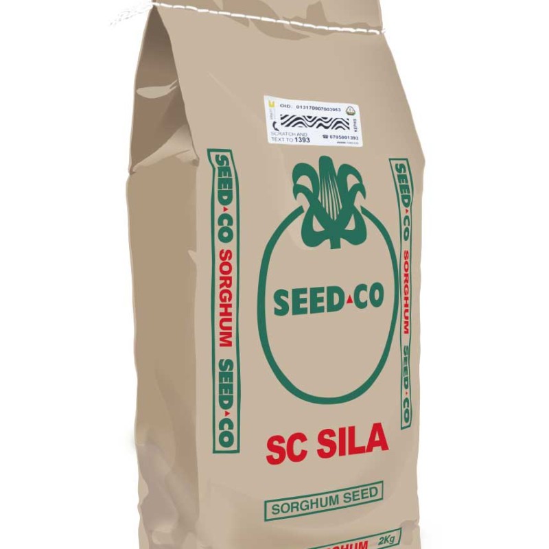 SC Sila Sorghum